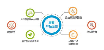 溯源管理系统 为网购产品提供安全保障的供应链管理利器